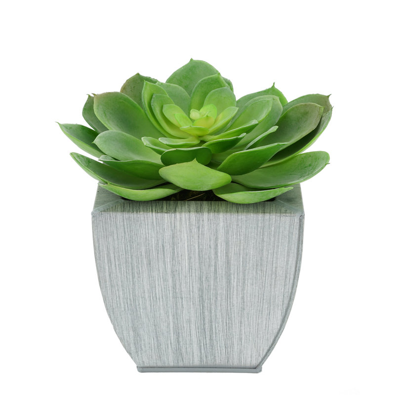 Succulent artificiel 2" en pot, Ferme