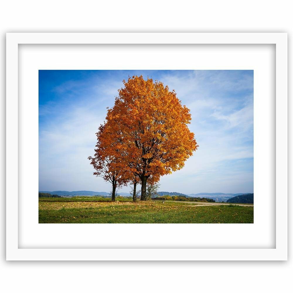 Gerahmter Fotodruck Baum auf dem Hügel