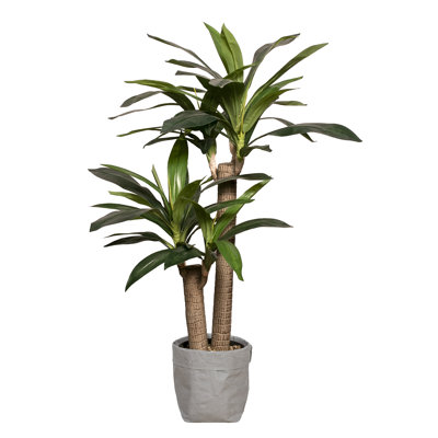 Panama 45'' Faux Dracaena Plant