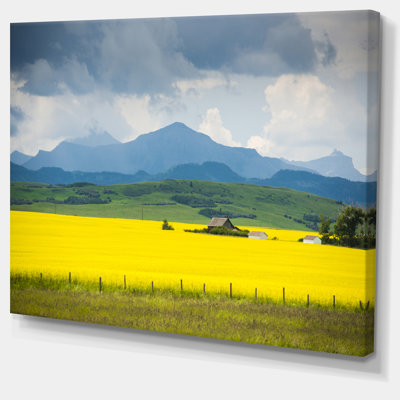 " Farm House In Field Of Canola "