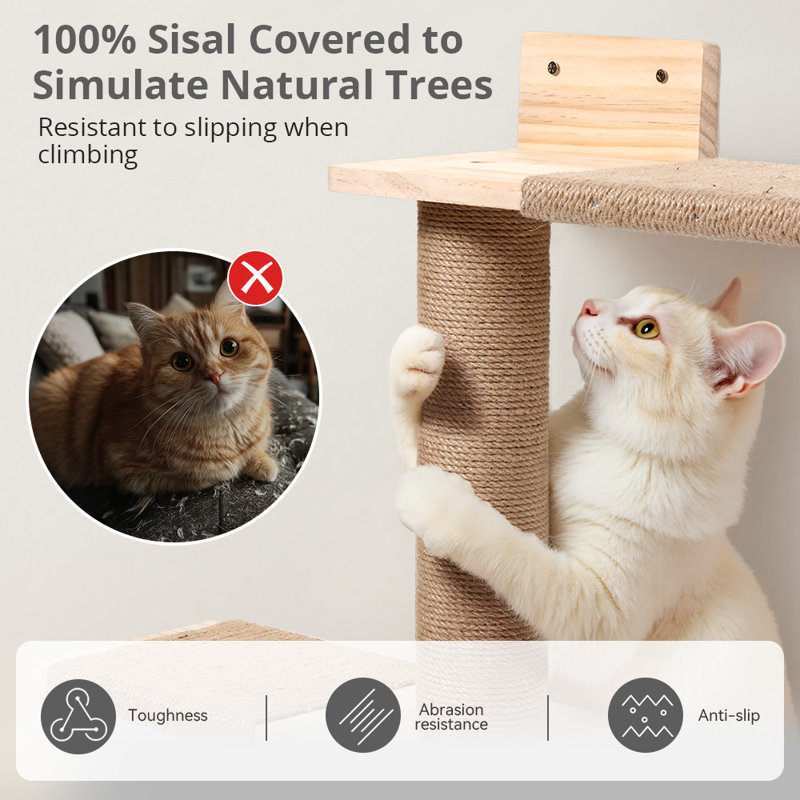 Arbre à chat haut, tour à chats à 5 niveaux, poteau à griffer pour chat, tablettes murales pour chat sauvage, pour grimper, gratter, regarder et jouer