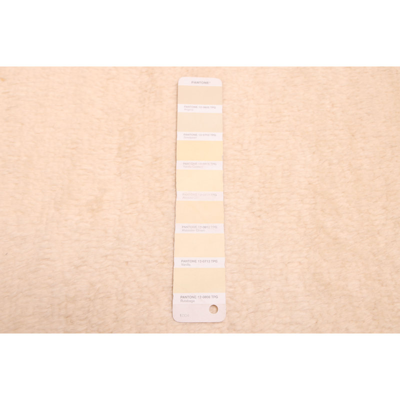Tapis ivoire Pak Finest Marrakesh 8 pi 6 po x 9 pi 8 po
