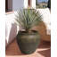 Plant Pot THERISO 54 cm Dark Green