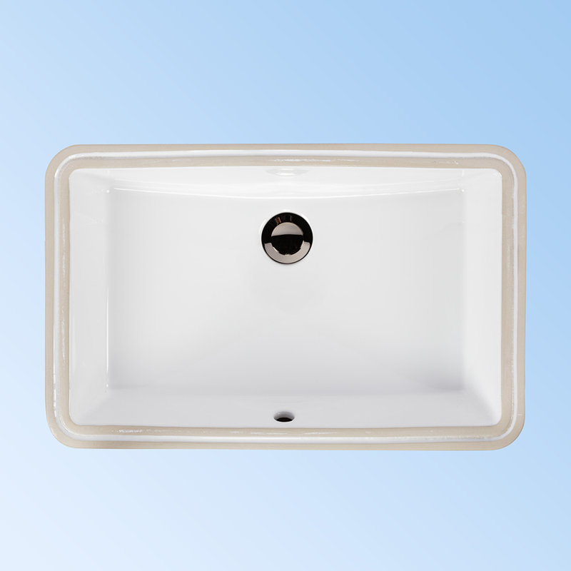 Libera 21.25'' L Bathroom Sink