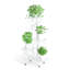 Anka Plant Stand-1754794749