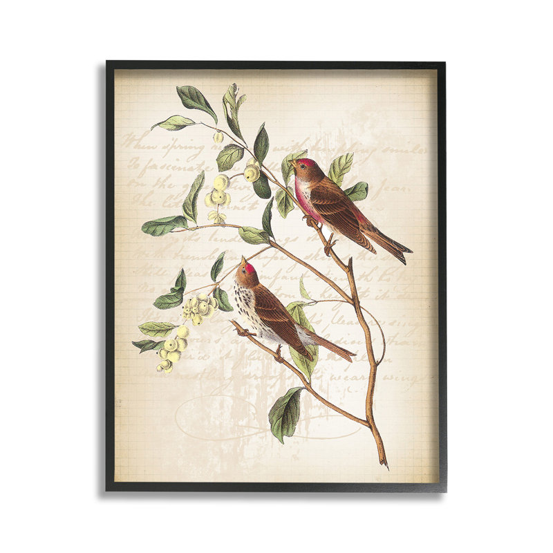 «Birds with Vintage Cursive», estampe numérique par Lula Bijoux & co., Giclée encadrée noir minuit, H 14 po x l 11 po