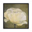 «Poppy in White I», impression sur toile-72779420-72779419-29090083
