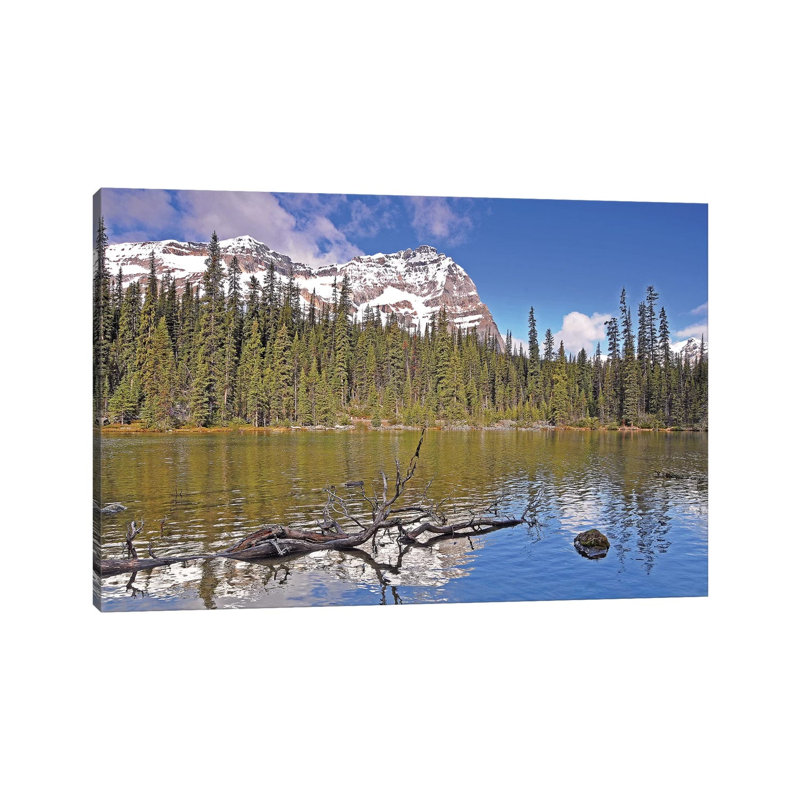Little Lake O'Hara by Brian Wolf - Wrapped Canvas Print, 20.32 cm H x 30.48 cm W