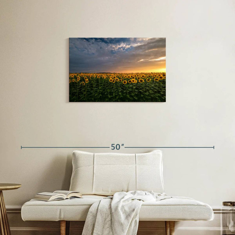Champ de tournesols Alvord Mittenwalde, H 20 po x l 30 po