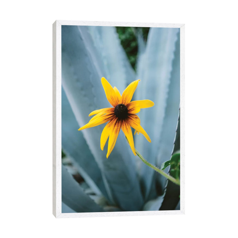 Austin Flower II by Bethany Young - Print on Canvas, White Framed, 152.4cm H x 101.6cm W x 3.81cm D