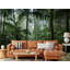 Murmures de la forêt tropicale émeraude-298455385