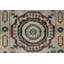 Oriental Area Rug in Gray