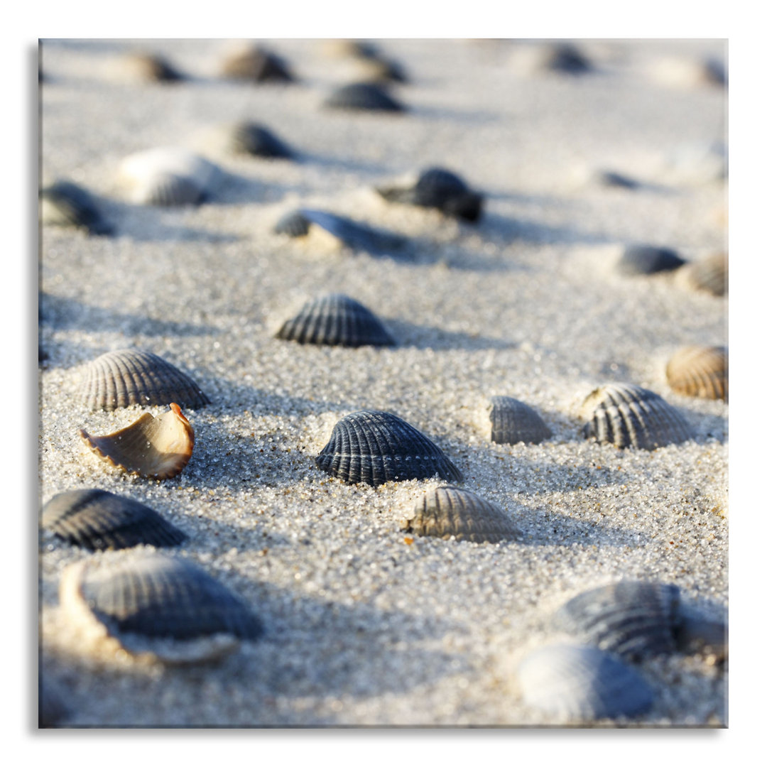 Glasbild Quadratisch | Wandbild Auf Echtglas | Muscheln Im Sand Inkl. Aufhängung Und Abstandshalter GLAS_LQy10090 2