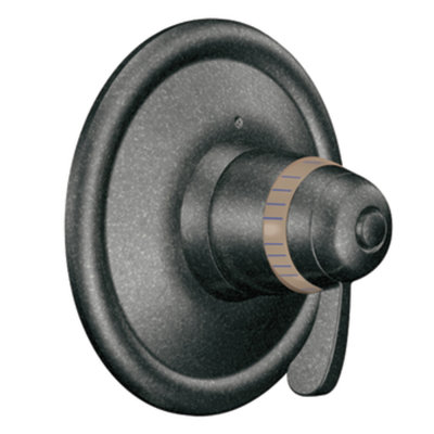 Exacttemp Thermostatic Faucet Trim with Lever Handle