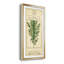 Linnaean Botany I - peinture sur toile encadrée-1846193342-1846193337