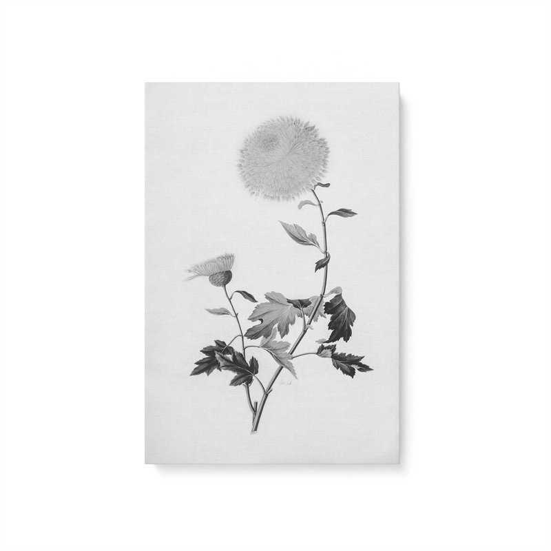 «Botanical IV» par Deborah Revell, reproduction d'art sur toile, H 12 po x l 8 po, Toile tendue, Ne s’applique pas