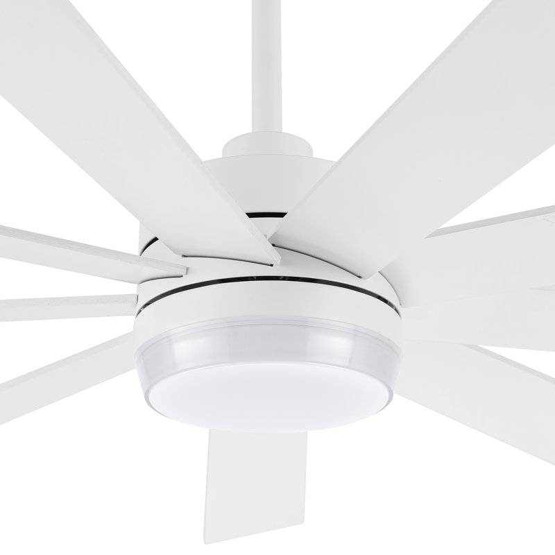 Babrak 65'' Ceiling Fan with LED Lights, White