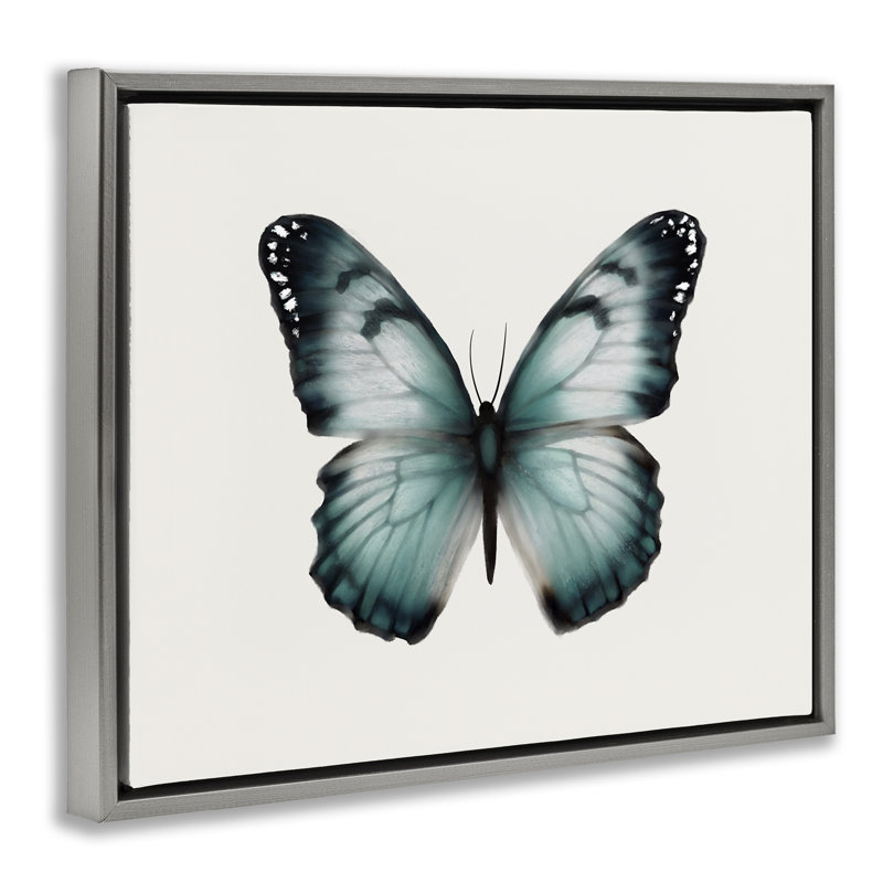 Art mural sur toile flottante, bleu sarcelle, papillon symétrique par Elizabeth Medley, Cadre flottant gris lustré