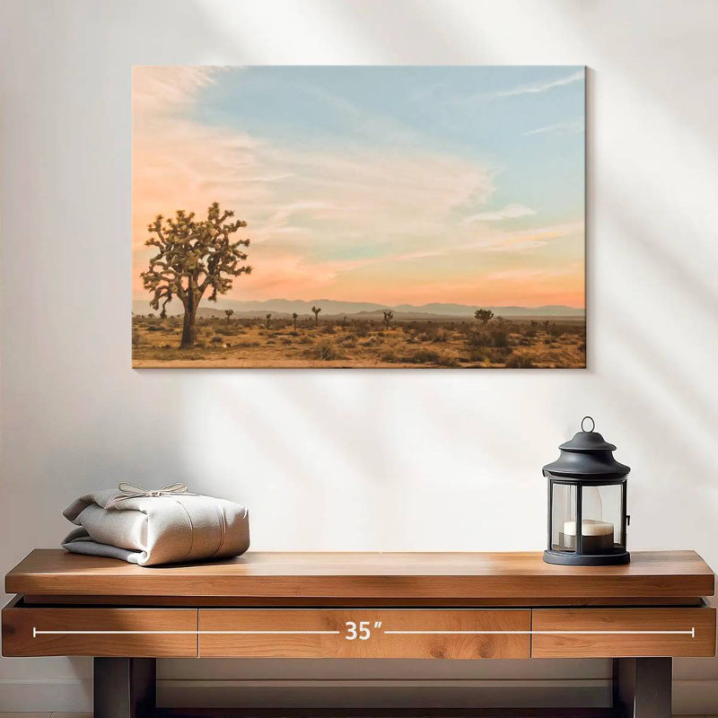 Paysage désertique d'Alvord, H 16 po x l 24 po