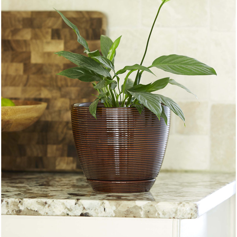 Caylin Ceramic Pot Planter with Saucer