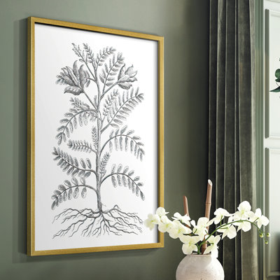 «B&W Plant Speciment», reproduction encadrée - bois massif