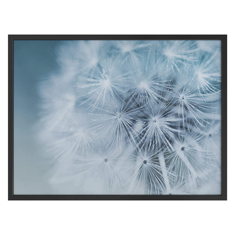 Détaillé, pissenlit blanc Bokeh - cadre photo, Noir