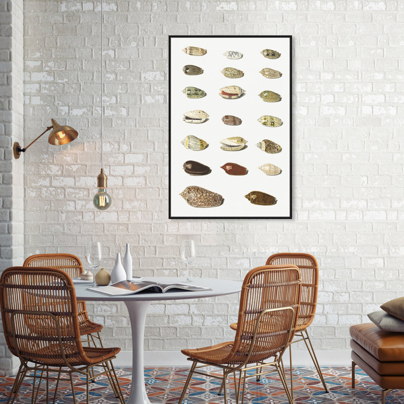 «Twenty Tropical Shells», impression sur toile, Cadre noir, H 24 po x l 36 po x P 1,5 po