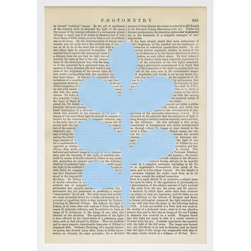 Photometry Print by Michela Sorrentino, 30" H x 21" W x 1.25" D, White Wood