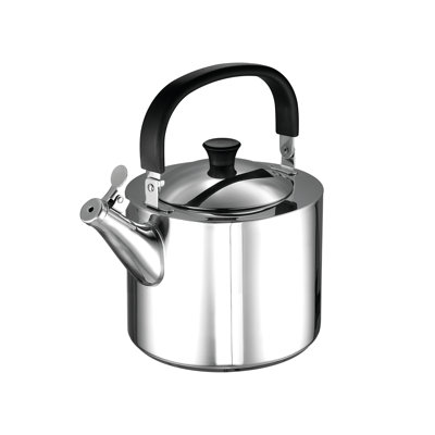 Bert Stainless Steel Stovetop Kettle