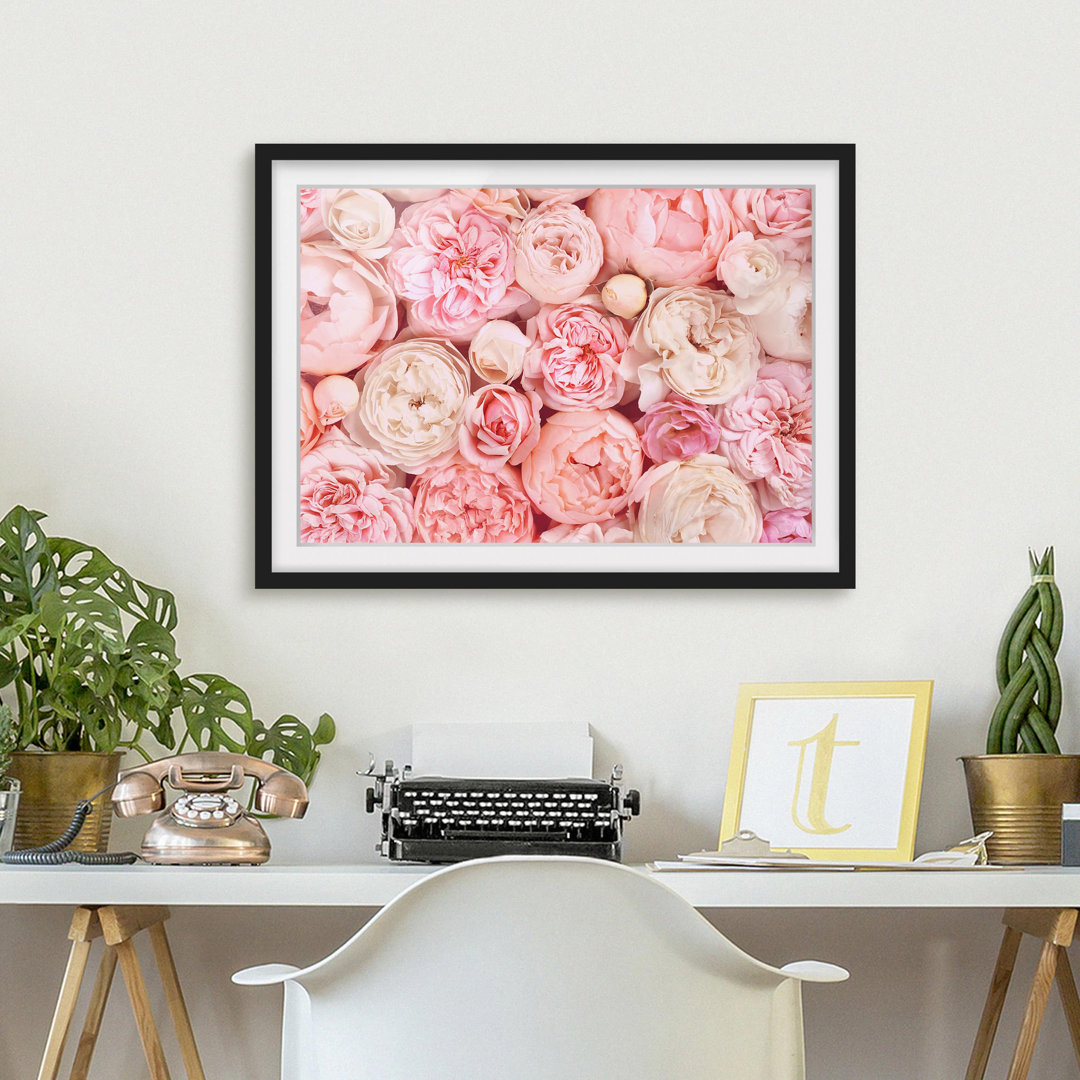 Gerahmter Grafikdruck Roses Coral Shabby