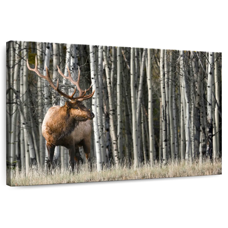 Brampt Rocky Mountain Moment, 30" H x 45" W
