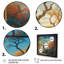 «Robleh Blue and Yellow Window Blossoms», reproduction sur toile-88525155-88525156