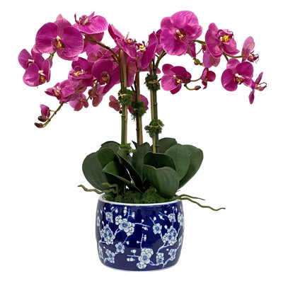 ORCHID IN BLOSSOM PLANTER