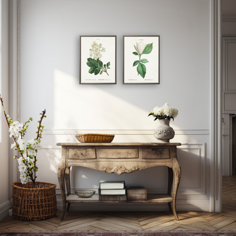 Hortensia blanc sur fond blanc