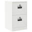 Storage Cabinet-131504593
