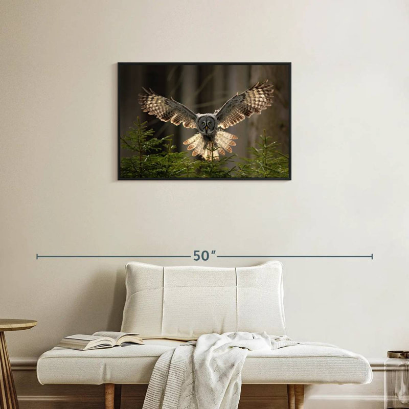 Brampt Flying Owl, 21" H x 31" W