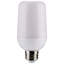 2.5 Watt White LED Bulb