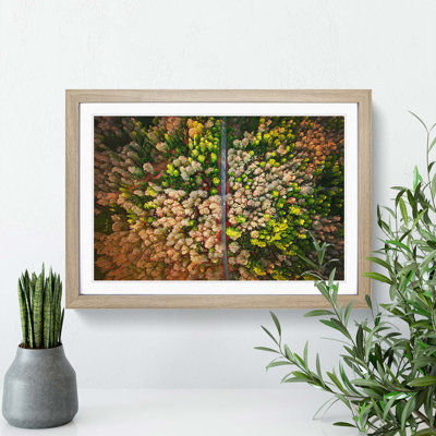 Separating the Forest - Picture Frame Graphic Art Print