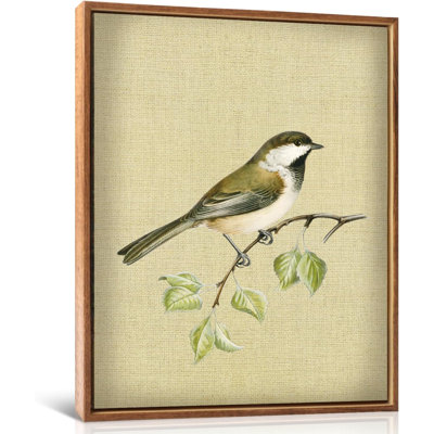 12 po x 16 po, reproduction d'art d'oiseaux rétro, colibri sur toile, peinture antique, oiseaux printaniers, moineau, reproduction d'art printanière, animal botanique encadré pour salle de bain