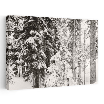 Snow Covered Evergreen Trees At Stevens Pass Washington State Usa Abstract Contemporary Forest Landscape Art