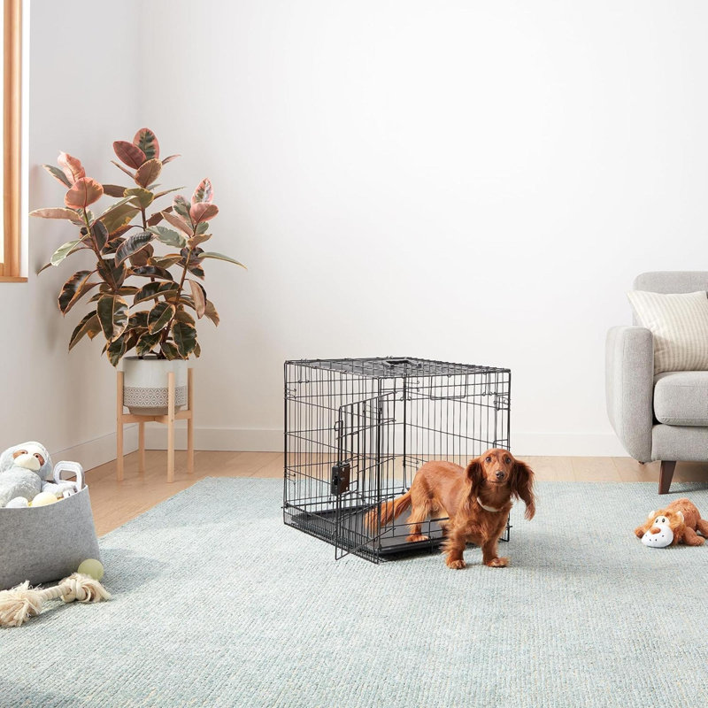 Cage pour chien durable et pliable en métal avec plateau, porte simple