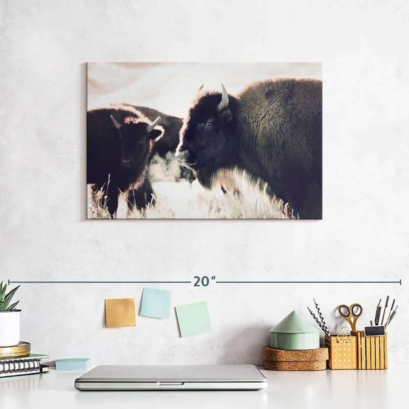 Brampt Buffalo Pasture, 8" H x 12" W