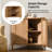 Barra Transitional 32"H 2-Door Corner Cabinet with Adjustable Shelves and Cable Management-1691599258