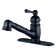 Opulence 1H Pull Out Single Handle Kitchen Faucet with Side Spray