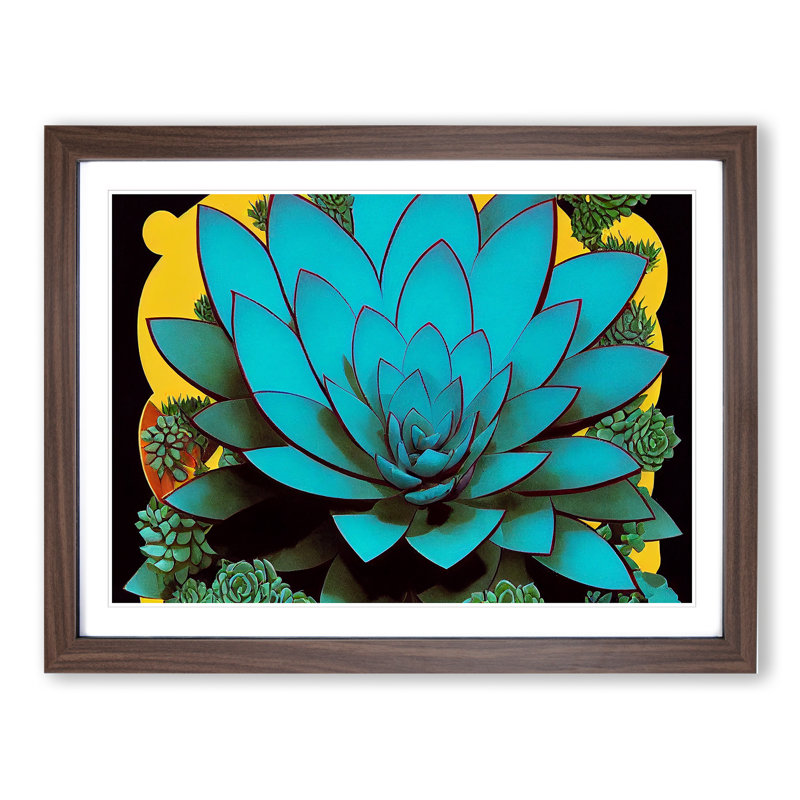 Splendid Succulent Plant - Framed Print, 46cm H x 64cm W x 2cm D, Walnut