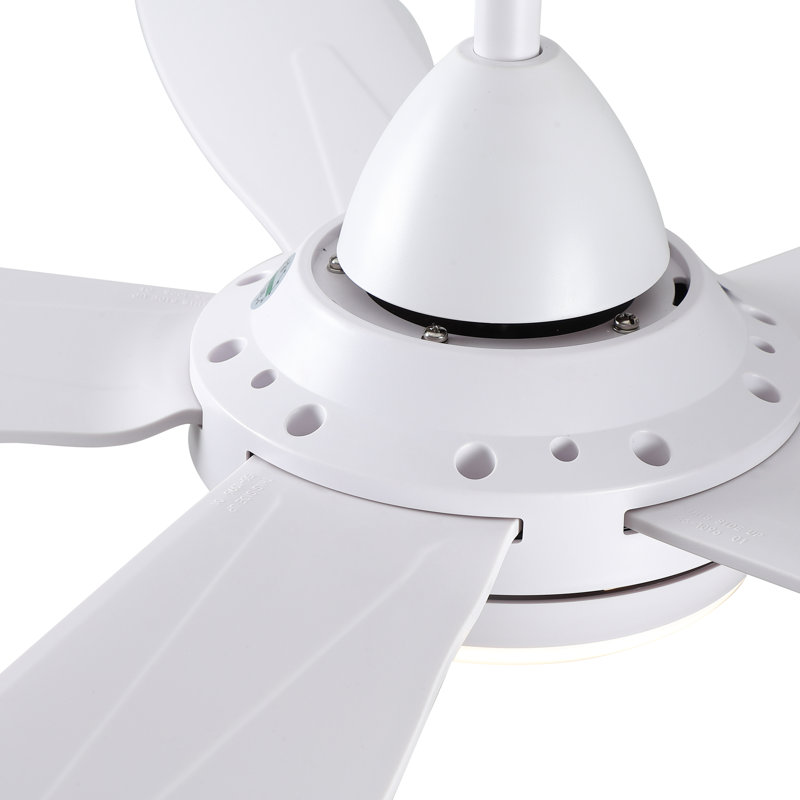 Modern 48''/56'' 5-Blade LED Standard Indoor Ceiling Fan with Remote Control and Light Kit Included, White with White Blades