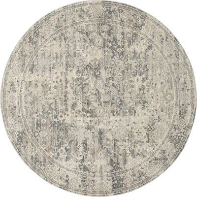 Hendricksen Southwestern Area Rug in Gray