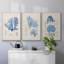 3 algues bleu marine IV-2010907146-2010907157