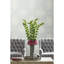 Rouleau de papier peint kaléidoscope en pierre 33 pi x l 21 po Antonia Vella-37360116