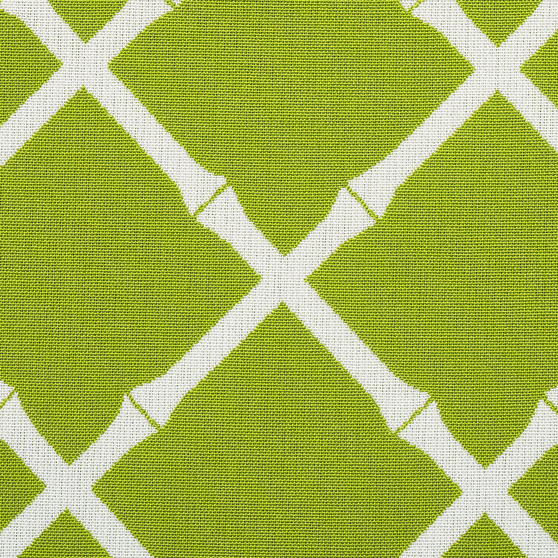 Bamboo Trellis Indoor/Outdoor Fabric, Leaf
